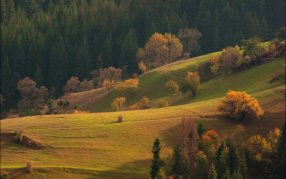 Отдых в Болгарии в ноябре - погода и цены в 2013 году Болгария в ноябре