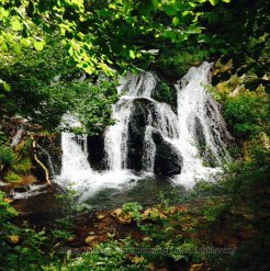 Водопад в заповеднике